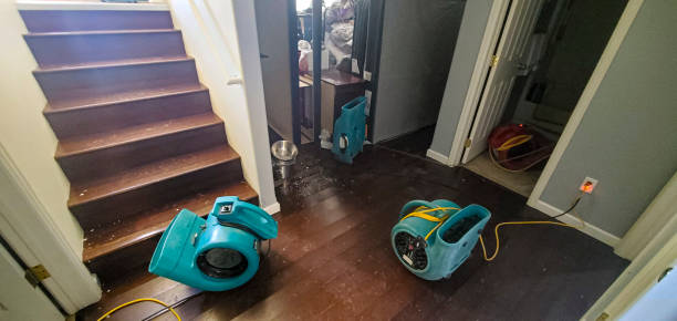 Best Carpet water damage restoration  in Gardena, CA
