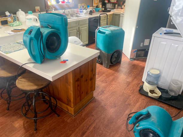 Best Water damage repair service  in Gardena, CA