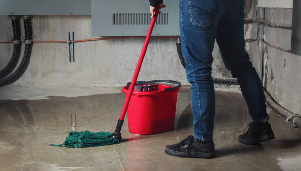 Best Water damage repair service  in Gardena, CA