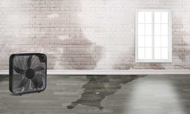 Best 24/7 water damage repair  in Gardena, CA