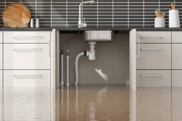 Best Water damage cleanup near me  in Gardena, CA