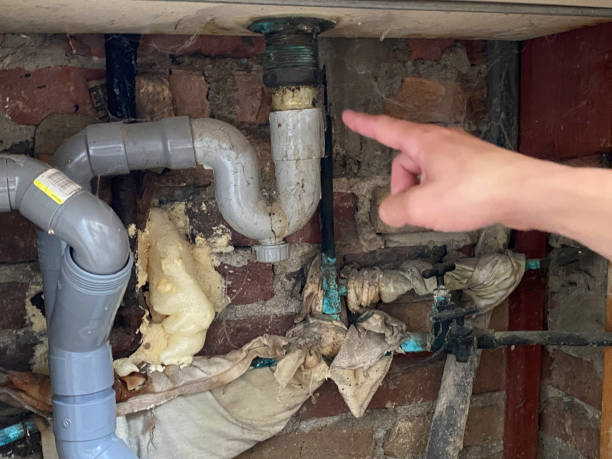 Best Professional water damage repair  in Gardena, CA